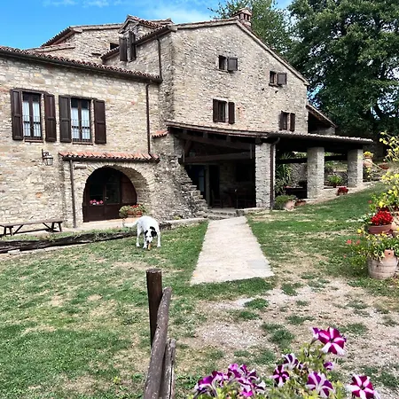 Agriturismo La Cerqua-3
